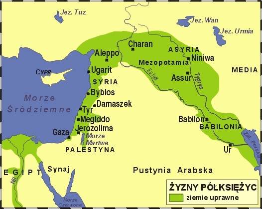 Ogłoszenia